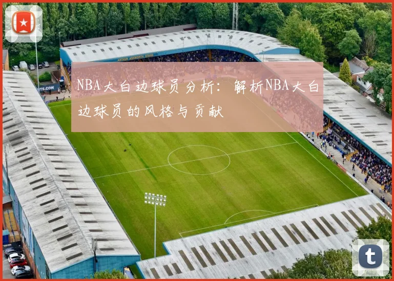 NBA大白边球员分析：解析NBA大白边球员的风格与贡献