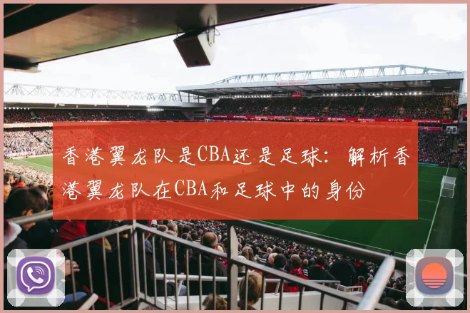 香港翼龙队是CBA还是足球：解析香港翼龙队在CBA和足球中的身份