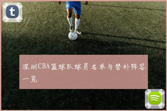 深圳CBA篮球队球员名单与替补阵容一览