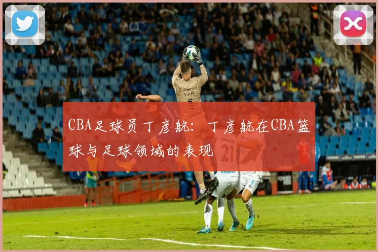 CBA足球员丁彦航:丁彦航在CBA篮球与足球领域的表现