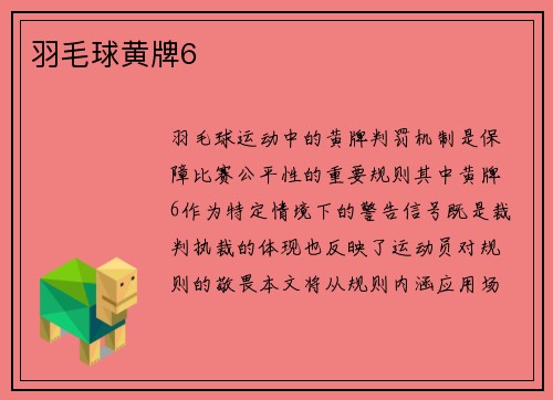 羽毛球黄牌6