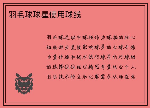 羽毛球球星使用球线
