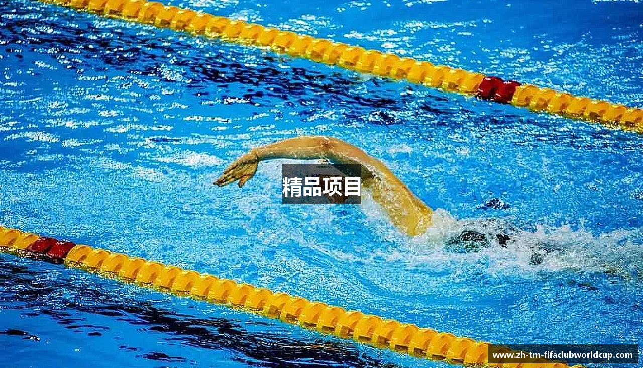 精品项目